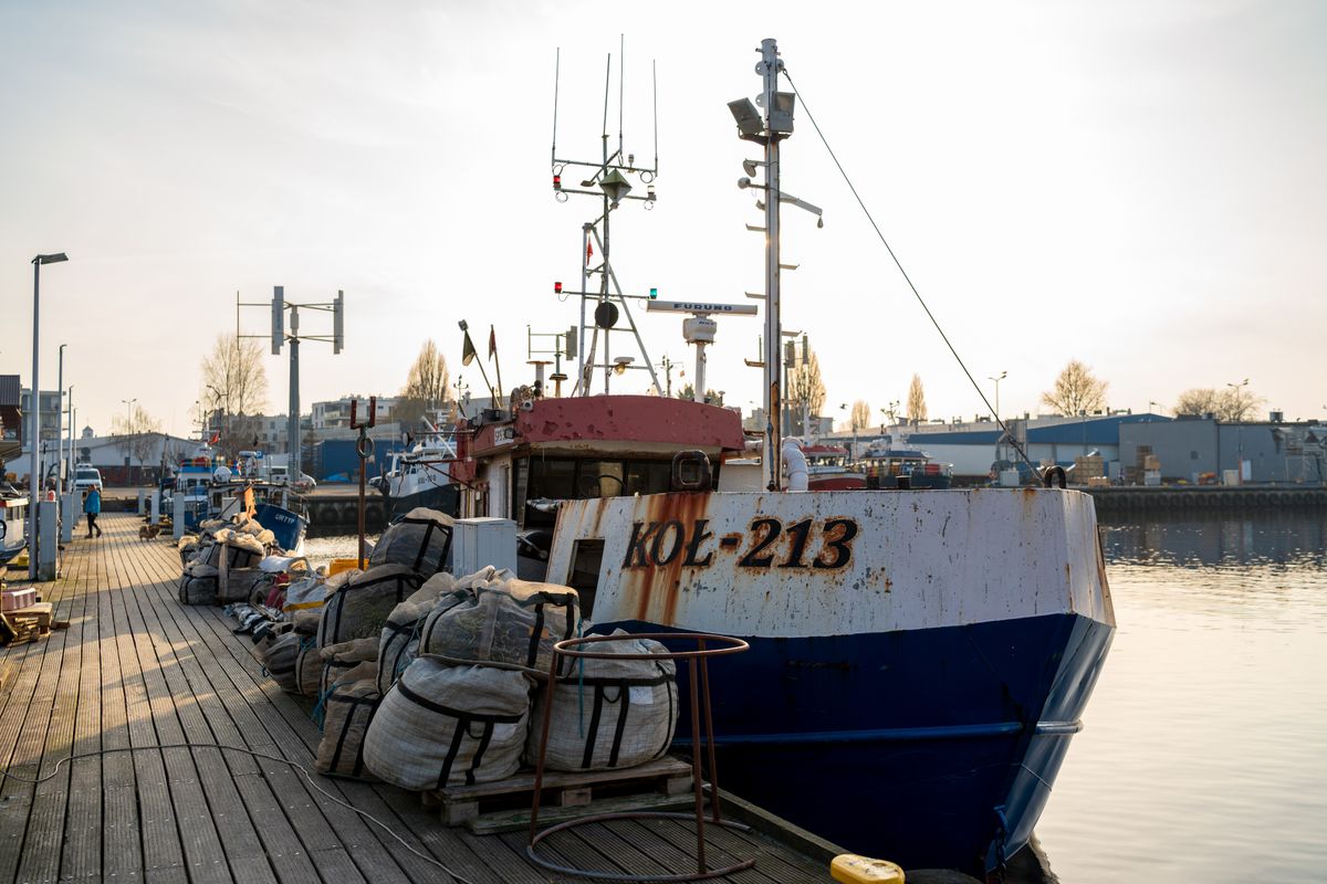 Fishing industry to scale at its best with the new reforms